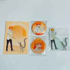 ハイキュー　東武動物公園　日向翔陽　セット