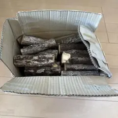 Item thumbnail for item e6313547-ab0f-49c0-bf8c-e7c90e539cad