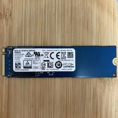 KIOXIA NVMe 256GB SSD