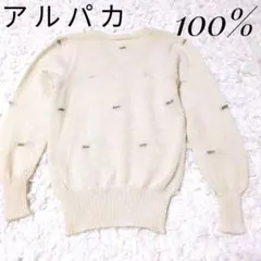 アルパカ100% ニット オフホワイト アイボリー Vネック セーター刺繍日本製