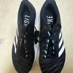 Item thumbnail for item 555e14a2-42b3-4266-afdd-416c748191f9