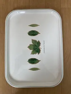 Item thumbnail for item 6df6e461-50ad-431d-a868-9d369bad35b9