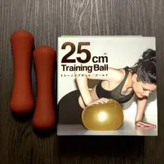 ALINCO アルインコ ダンベル 0.5kg 2個セットのサムネイル