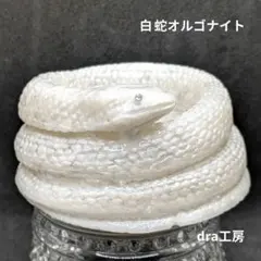 大きな蛇✨⭐️オルゴナイト⭐️✨白蛇の抜け殻入り 蛇の抜け殻入り】⭐️白蛇のオルゴナイト⭐️ - メルカリ