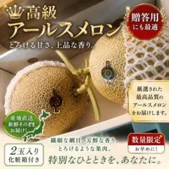 高級 アールスメロン 4玉入り - メルカリ