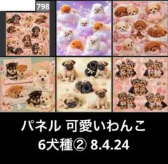 オーダーページ パネル 可愛いわんこ6犬種 ② 8.4.24