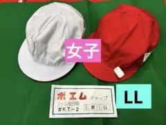 Item thumbnail for item 11b40d28-c49e-4547-b8c7-c4d13d4afc1c