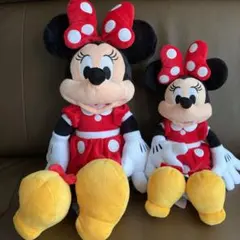 ディズニーミニーちゃん　2こ組