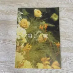 美しい彼 パンフレット