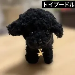 2026年最新】トイプードル ぬいぐるみ 黒の人気アイテム - メルカリ