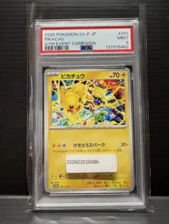 ピカチュウ P 291/SV-P 「ピカチュウ」もらえる! ジムイベントに参加…