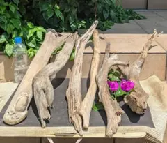 Item thumbnail for item 0645f3c0-d25f-4721-ac6d-151825fafb36