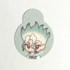 千空　ストロータグ　特典　ピクニック　ミックスガーデン　Dr.STONE