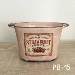 取手付き　アンティーク風　リメイク鉢　多肉植物　サボテン　寄せ植えのサムネイル