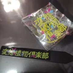 変態植物倶楽部　番組ロゴ入りオリジナルグッズ4点セット 変態植物倶楽部 番組ロゴ入りオリジナルグッズ3点セット - メルカリ