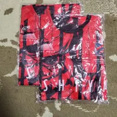 Item thumbnail for item f5f29a5c-6983-4e9e-b9bb-18eaf971528e