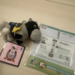 ゴールドシップ セット