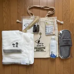 大阪万博 台湾 テックワールド ノベルティグッズセット ピンバッジ