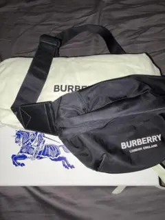 【極美品正規品】BURBERRYバーバリーロゴソニーベルトバッグナイロン　黒
