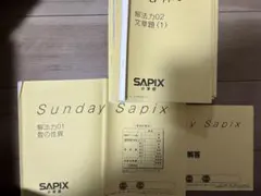 2026年最新】sapix サンデーサピックスの人気アイテム - メルカリ