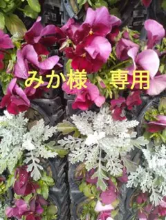 みか様専用