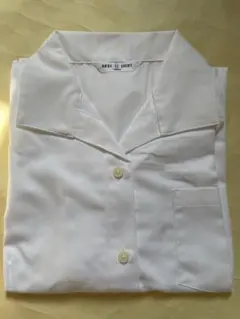 Item thumbnail for item 38b617de-5386-446a-809f-5f99695620e0