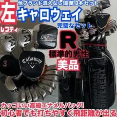 入手困難 レフティ 豪華13本キャロウェイ完璧なゴルフセット 打ちやす