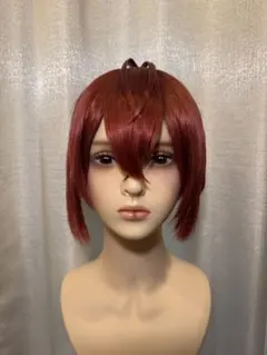 リドル・ローズハート ウィッグ ツイステ コスプレ Dハロ 仮装 セット