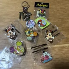ディズニー　ピンバッチ　缶バッチ　キーホルダー