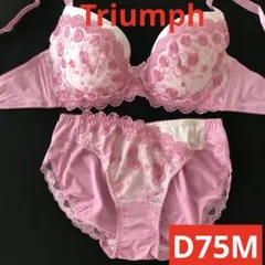 新品未使用 ★トリンプ Ｄ７５ 可愛いブラ＆ショーツ Ｍ セット