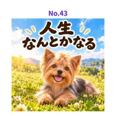 【No.43】ステッカー ヨークシャテリア 人生なんとかなる 犬 3枚500円