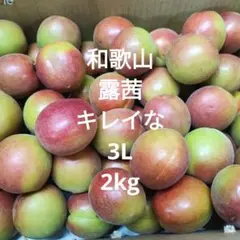 和歌山 露茜 梅 2L お得な 5kg - メルカリ