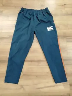 Item thumbnail for item 4e95ff2f-abd0-44e2-b43f-c11abfd03f15