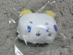 PLAVE プレイブ ノア モア mmmm baby ランダムぬいぐるみバッジ PLAVE MMMM BABY ムメミム moi ノア ランダムぬいぐるみバッジ - メルカリ