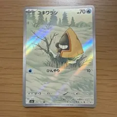 ユキワラシ AR