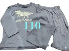 【サイズ110】恐竜デザイン パジャマ上下セット