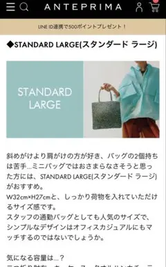 ラージサイズ アンテプリマ　ワイヤーバッグ　ハンドバッグ　トートバッグ　シルバー