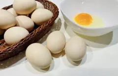 烏骨鶏の卵 放し飼い有精卵　TKG濃厚卵かけご飯 送料無料 10個セット常温発送のサムネイル