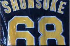 2025年最新】阪神タイガースレプリカユニフォームの人気アイテム