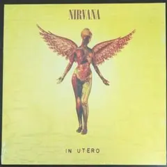 2026年最新】NIRVANA in utero レコードの人気アイテム - メルカリ