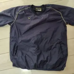 Item thumbnail for item 1e732676-3f80-457c-ae1b-fc21194dd3e9