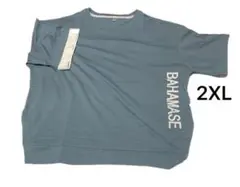 オーバーサイズTシャツ メンズ　2XL くすみブルー ロゴTシャツ ゆったり