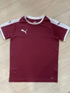 PUMA サッカー プラクティスシャツ DRYCELL