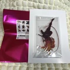 鬼滅の刃 甘露寺蜜璃 キービジュアル アクリルスタンド B 無限城編