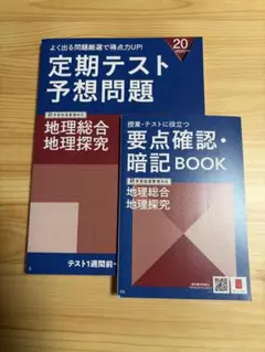 地理総合 地理探究 【2点セット】 進研ゼミ高校講座 書き込みなし