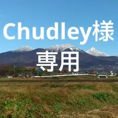 Chudley様 リクエスト 3点 まとめ商品