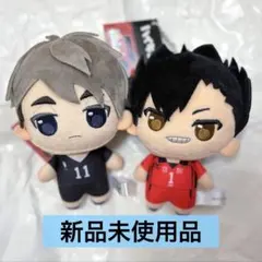 ハイキュー!! ぷちっしゅ ぬいぐるみマスコット 2種セット　宮治 黒尾鉄朗