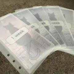 Item thumbnail for item 6802f77d-0e54-4e36-84c5-9d33b15286f7