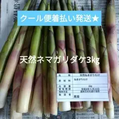天然ネマガリダケ5㎏／姫竹／天然山菜／タケノコ - メルカリ