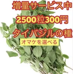 きょん様 リクエスト 2点 まとめ商品